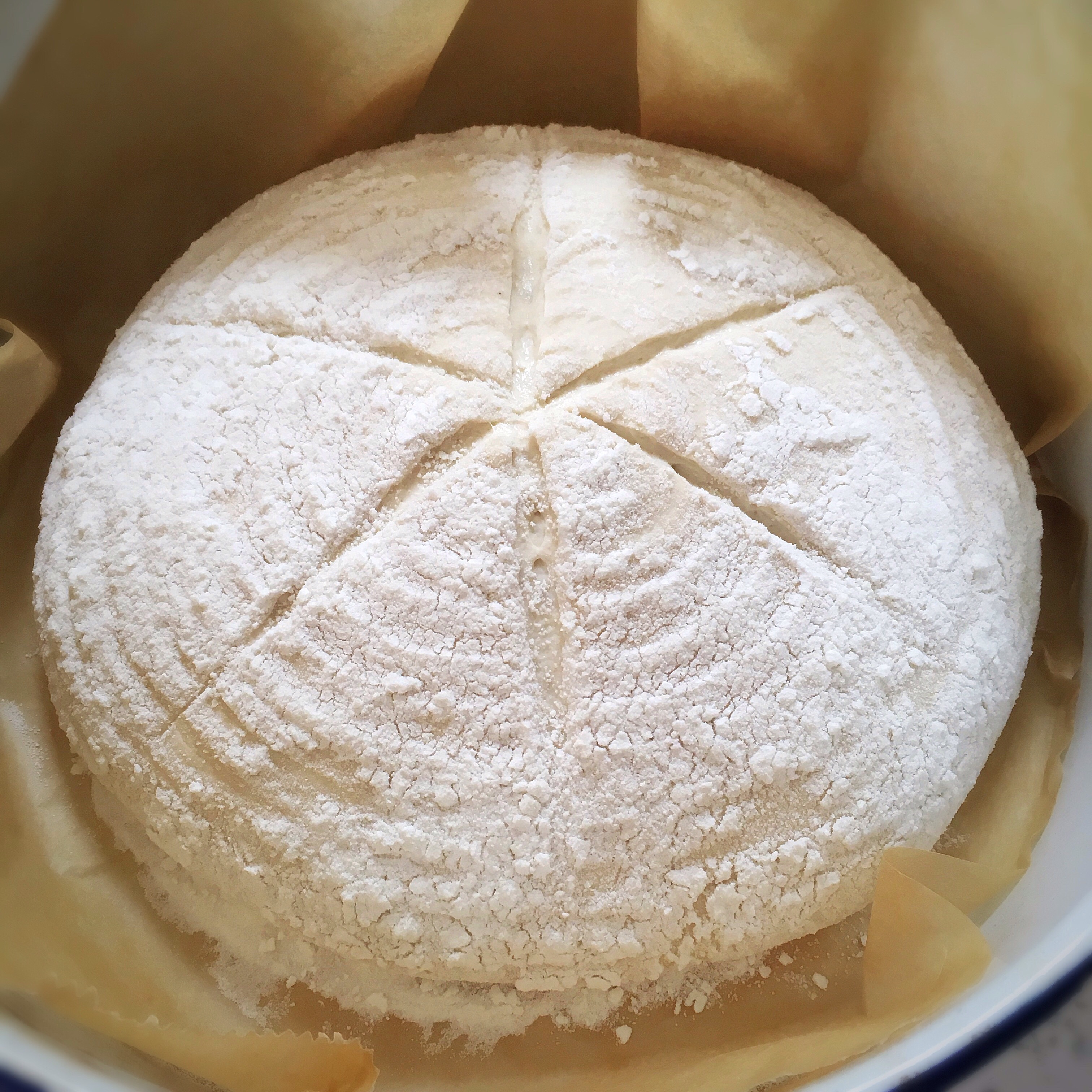 A round bread sitting in the middle of a bowl.