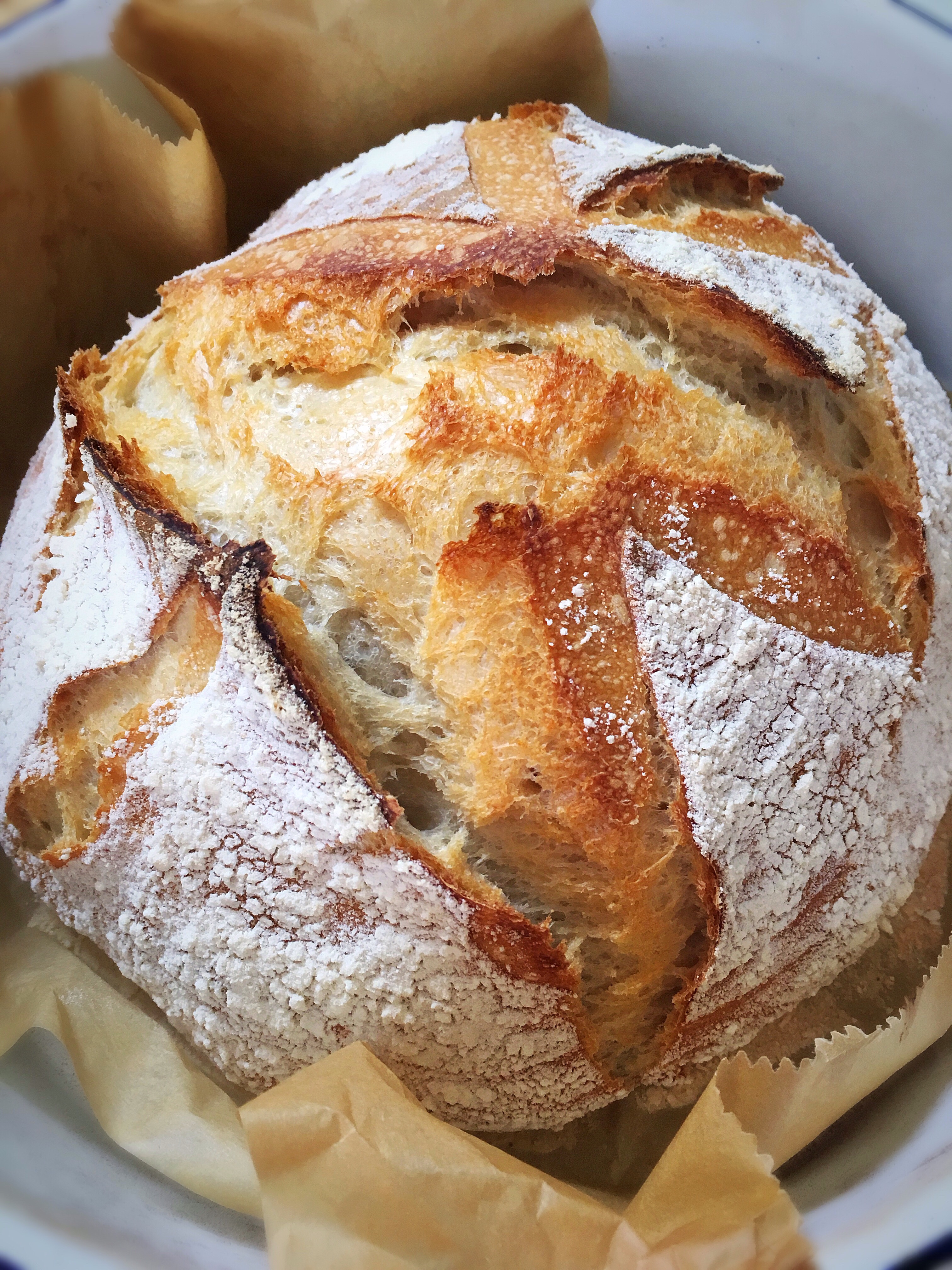 A loaf of bread with some type of crust on it