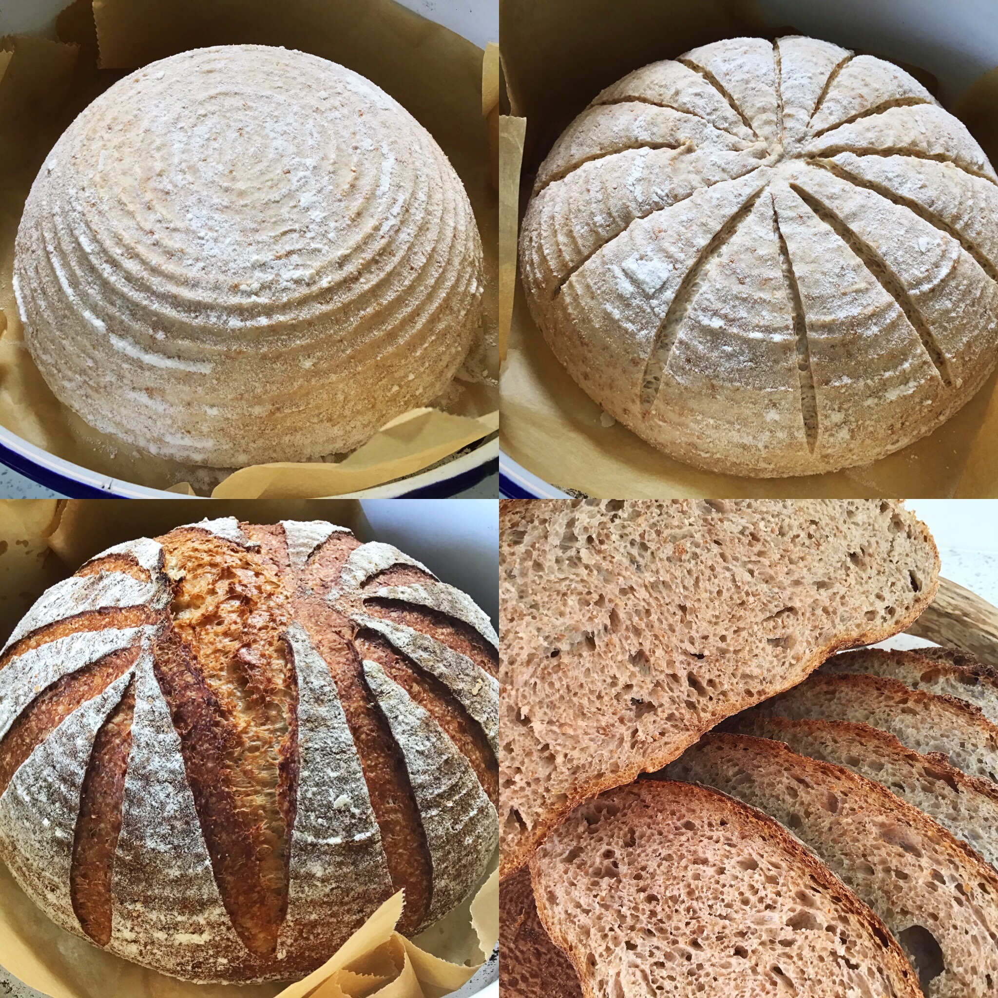 wholemeal flour recipes