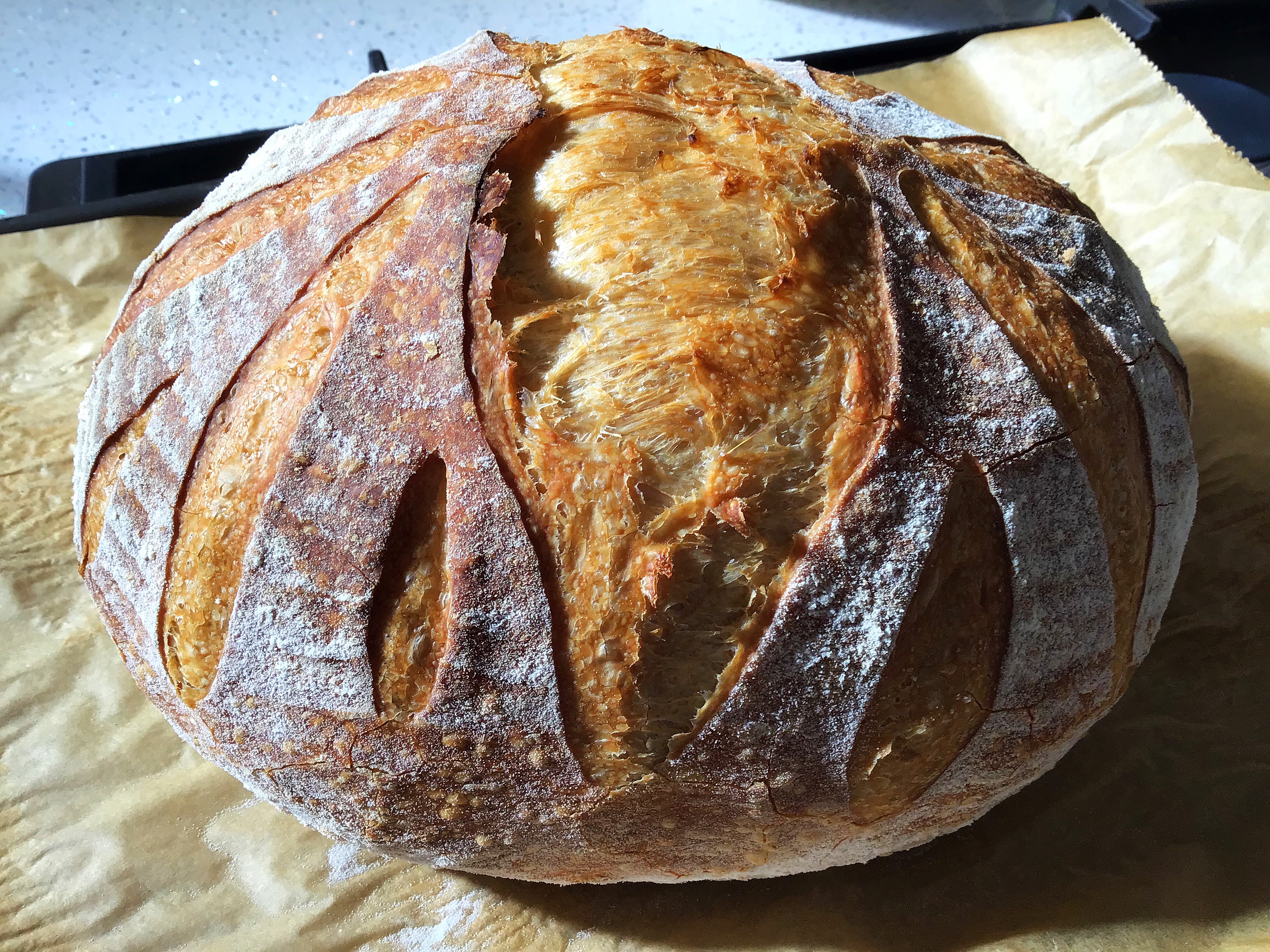 Sourdough Bulk Fermentation at 68 degrees | Smoking Meat Forums - The