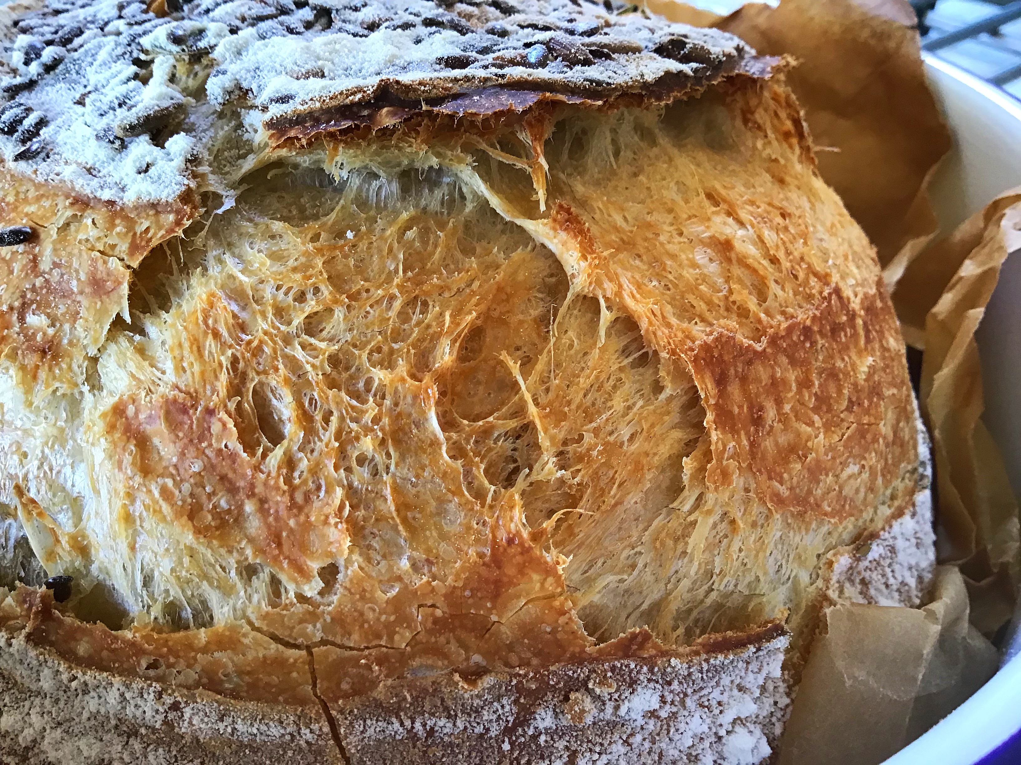 Weekly Sourdough Baking Rhythm— Bake Once, Fresh Bread for a Week - This  Pilgrim Life