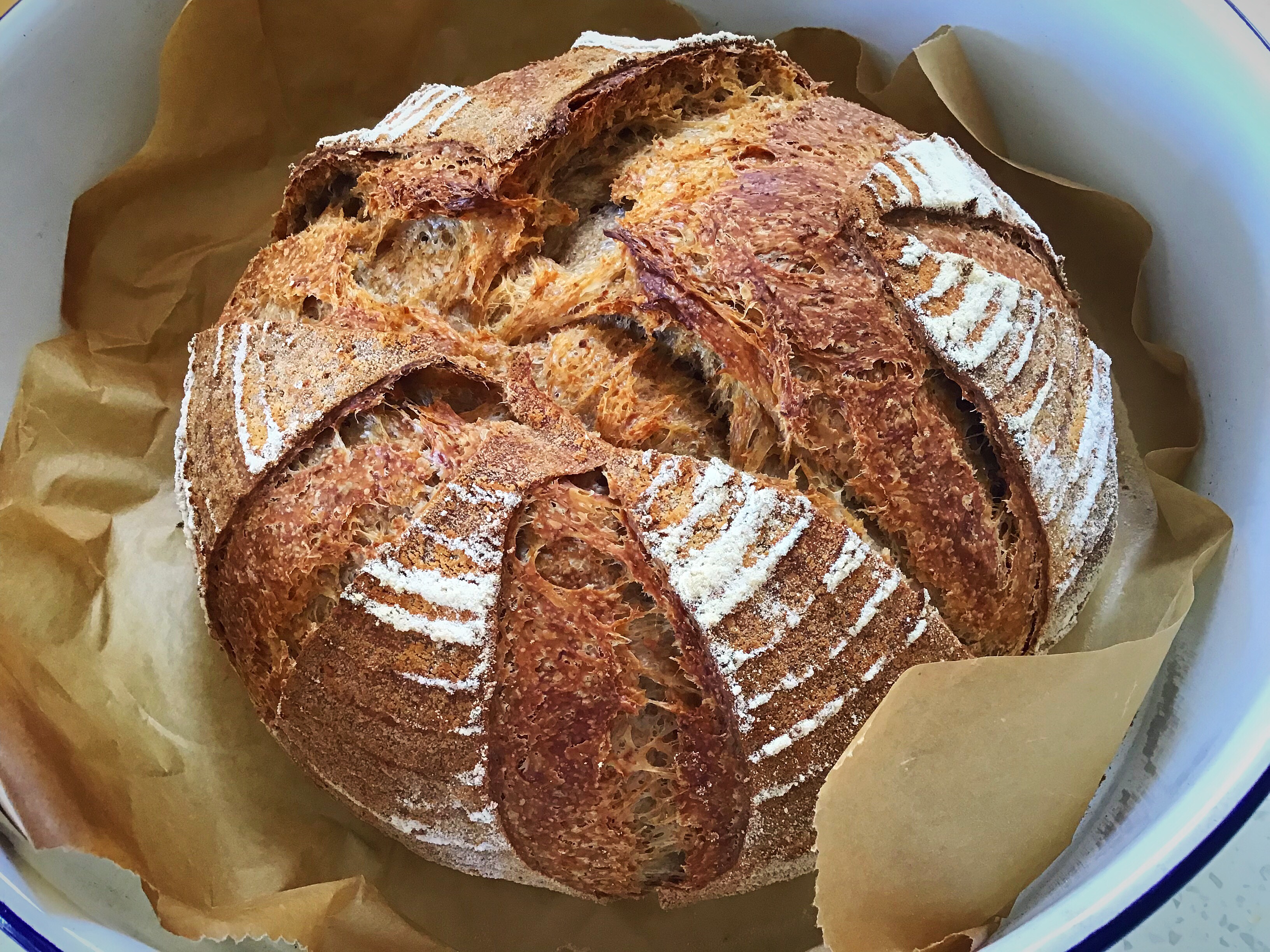 A loaf of bread is sitting in a basket.