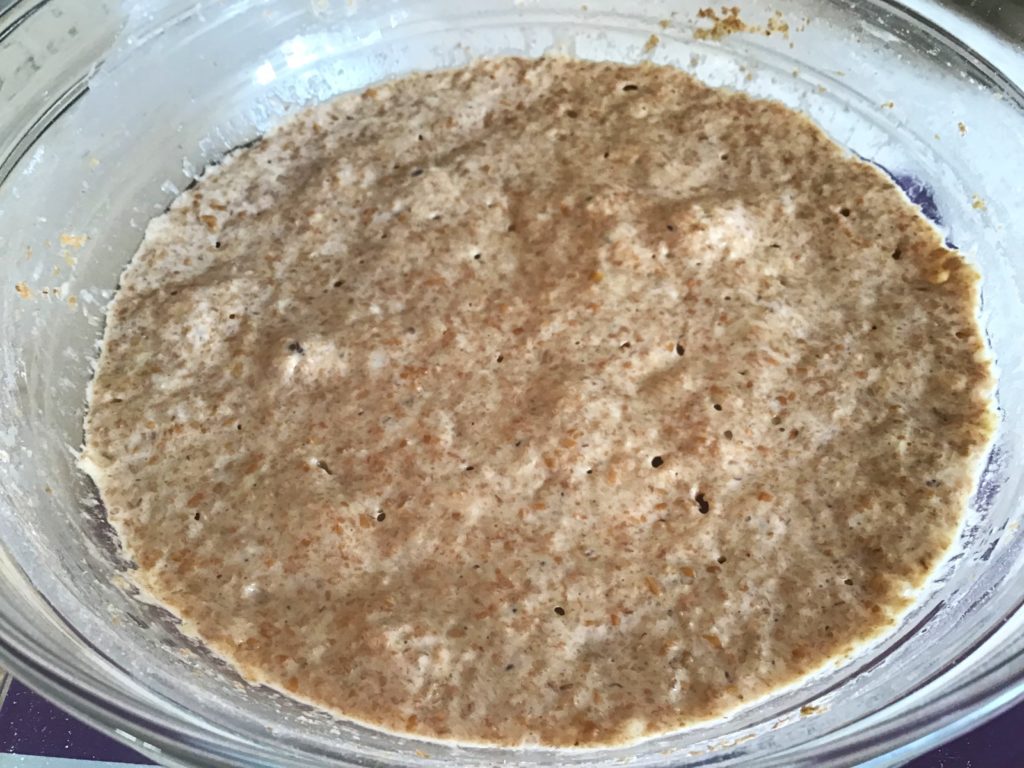 A bowl of oatmeal is shown in this picture.