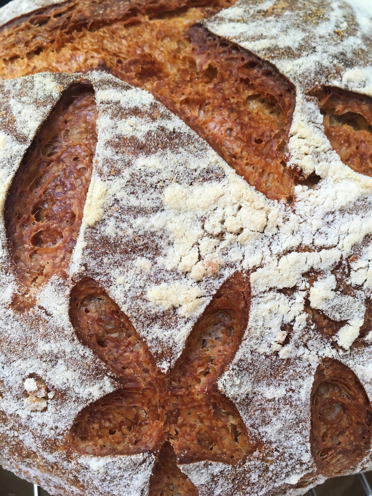 A close up of some bread shapes on the ground