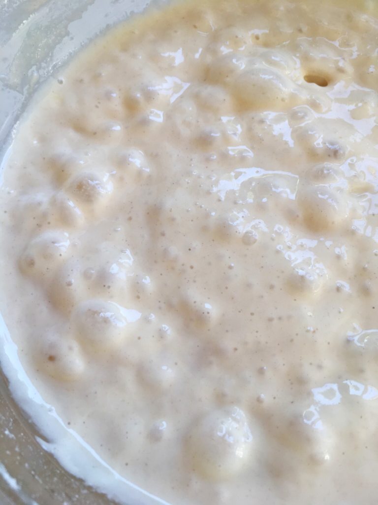 Making a starter in high temperatures – The simplest way to make sourdough