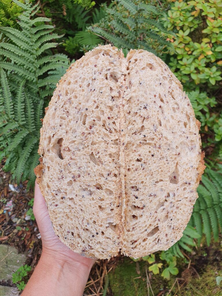 A person holding up a piece of bread.