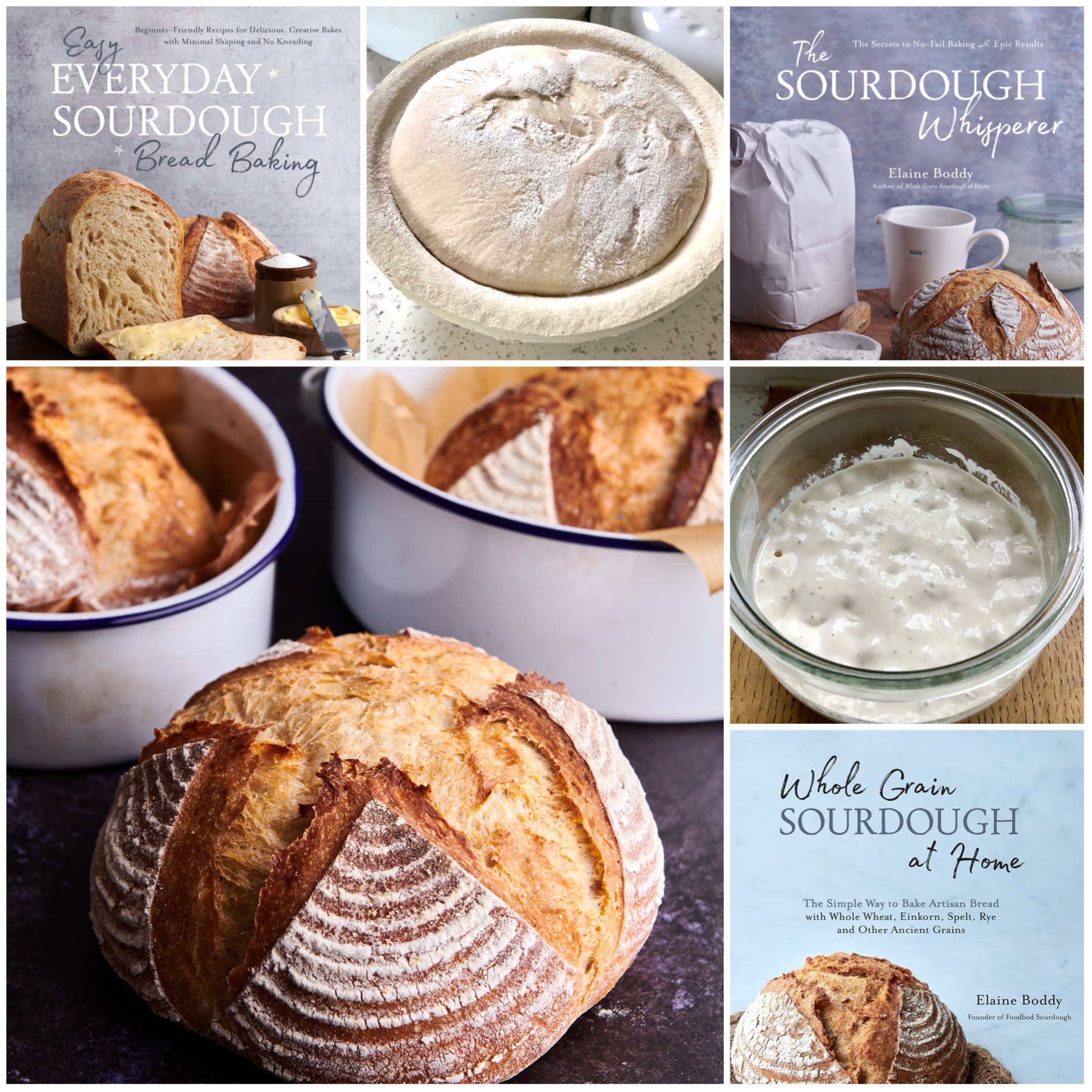 Shop – The Simplest Way To Make Sourdough