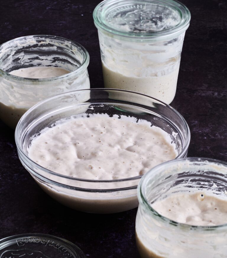 What Exactly Is Sourdough Starter? – The Simplest Way To Make Sourdough