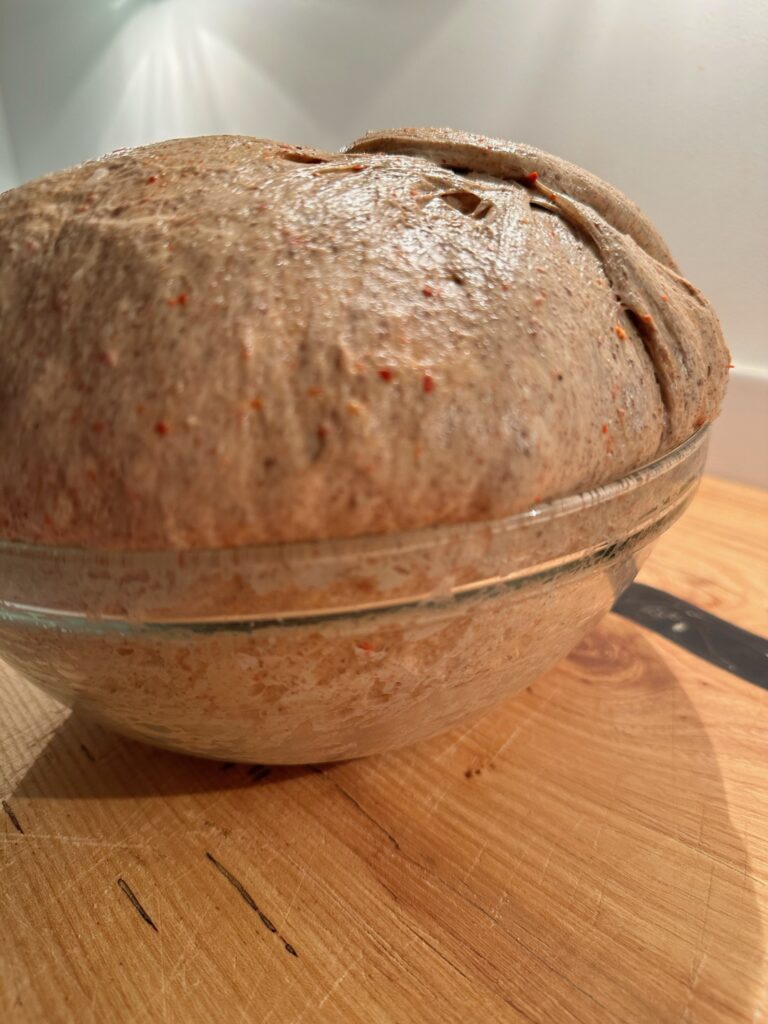 Shana's Sourdough – Shana's Sourdough