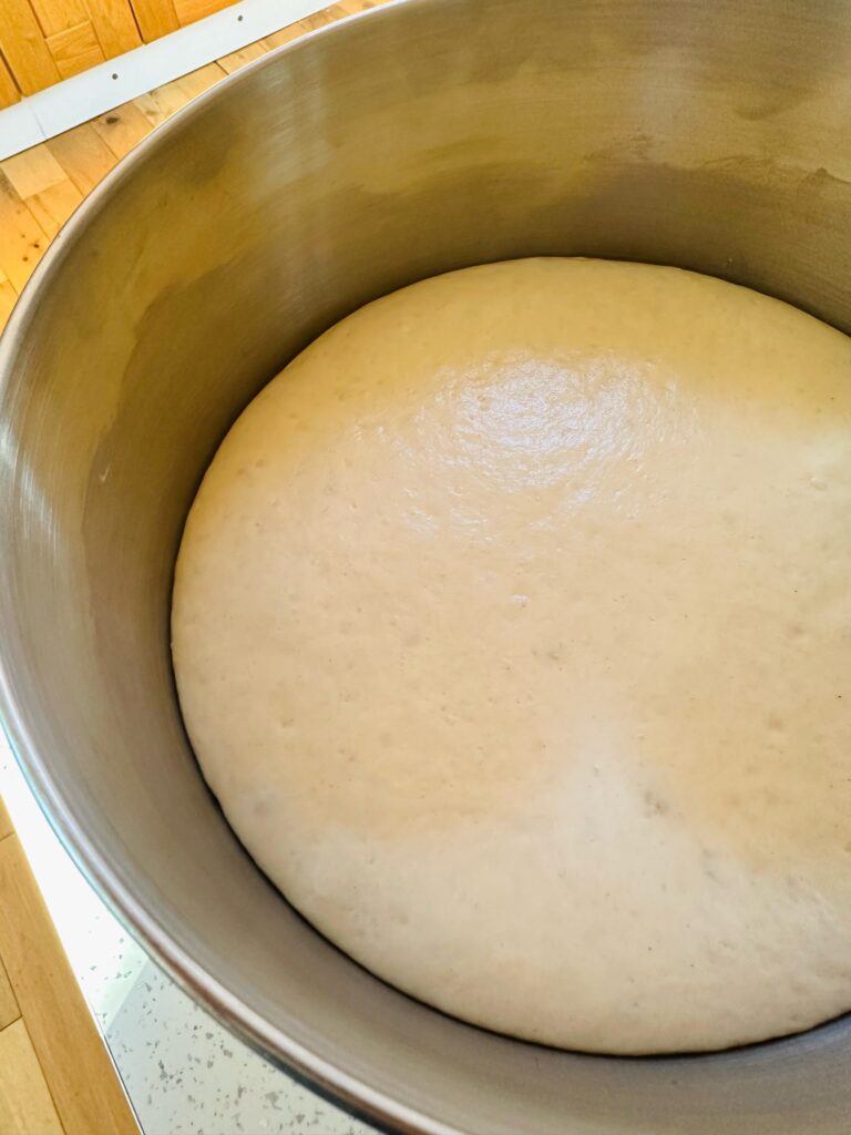 MY FULL MASTER RECIPE PROCESS – The simplest way to make sourdough